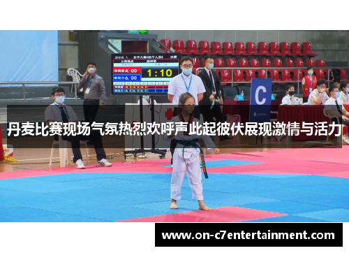 丹麦比赛现场气氛热烈欢呼声此起彼伏展现激情与活力