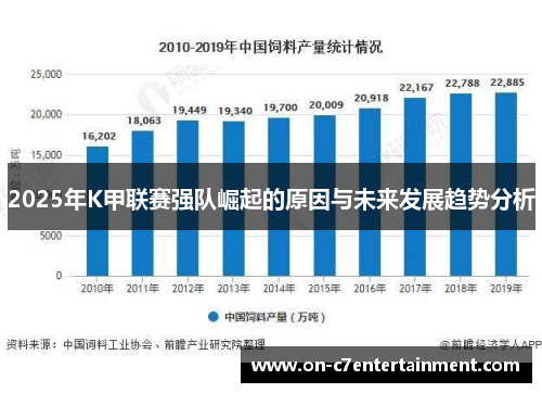 2025年K甲联赛强队崛起的原因与未来发展趋势分析