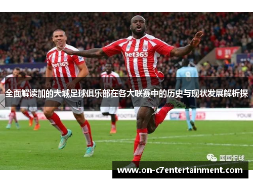 全面解读加的夫城足球俱乐部在各大联赛中的历史与现状发展解析探 全面解读加的夫城足球俱乐部在各大联赛中的历史与现状发展解析探