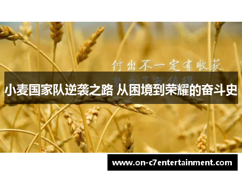 小麦国家队逆袭之路 从困境到荣耀的奋斗史