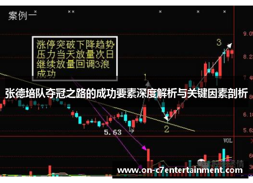 张德培队夺冠之路的成功要素深度解析与关键因素剖析