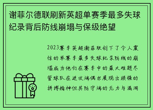 谢菲尔德联刷新英超单赛季最多失球纪录背后防线崩塌与保级绝望