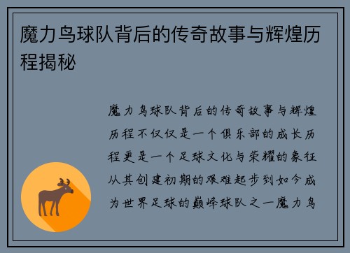 魔力鸟球队背后的传奇故事与辉煌历程揭秘 魔力鸟球队背后的传奇故事与辉煌历程揭秘
